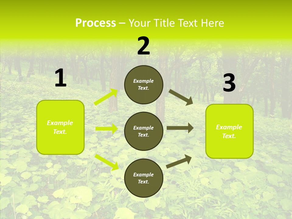Branch Growth Shrub PowerPoint Template