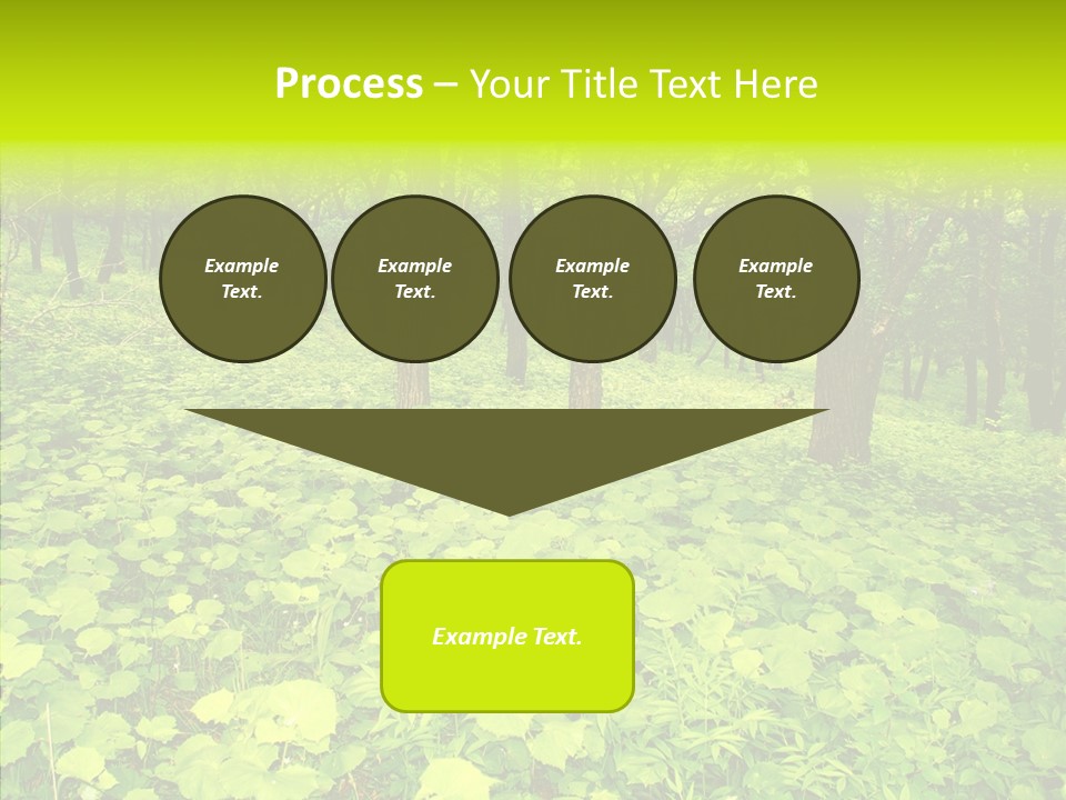 Branch Growth Shrub PowerPoint Template