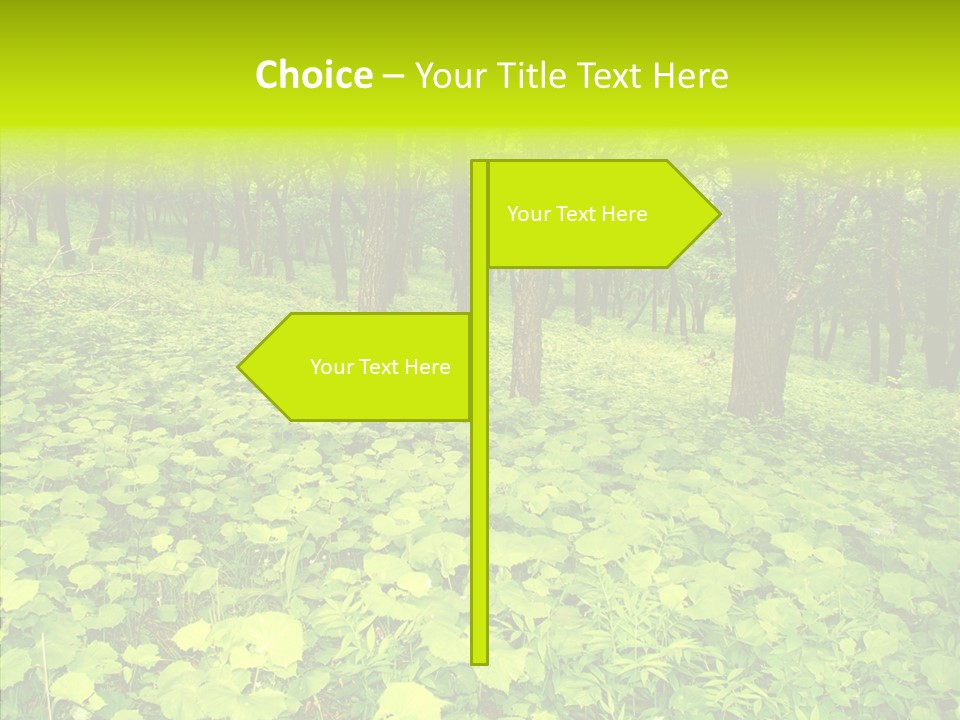 Branch Growth Shrub PowerPoint Template
