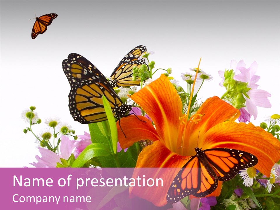 Cosmos Floral Beautiful PowerPoint Template