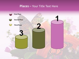 Cosmos Floral Beautiful PowerPoint Template