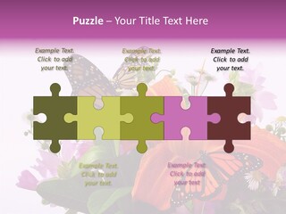 Cosmos Floral Beautiful PowerPoint Template