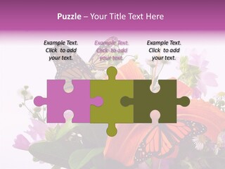 Cosmos Floral Beautiful PowerPoint Template