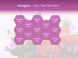 Cosmos Floral Beautiful PowerPoint Template