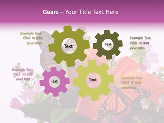 Cosmos Floral Beautiful PowerPoint Template