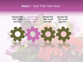 Cosmos Floral Beautiful PowerPoint Template