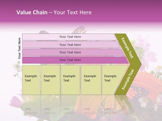 Cosmos Floral Beautiful PowerPoint Template