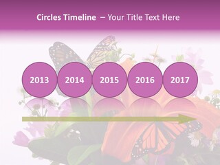 Cosmos Floral Beautiful PowerPoint Template