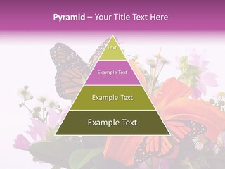 Cosmos Floral Beautiful PowerPoint Template