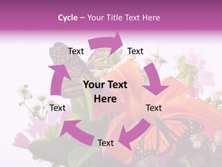 Cosmos Floral Beautiful PowerPoint Template