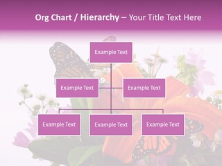 Cosmos Floral Beautiful PowerPoint Template