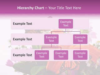 Cosmos Floral Beautiful PowerPoint Template
