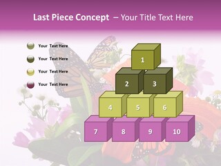 Cosmos Floral Beautiful PowerPoint Template