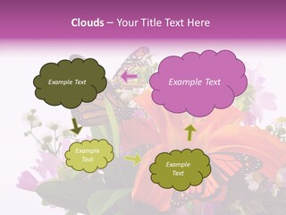 Cosmos Floral Beautiful PowerPoint Template