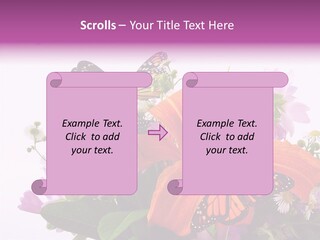 Cosmos Floral Beautiful PowerPoint Template