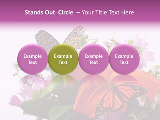 Cosmos Floral Beautiful PowerPoint Template
