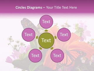 Cosmos Floral Beautiful PowerPoint Template