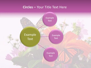 Cosmos Floral Beautiful PowerPoint Template