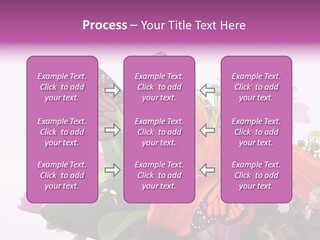 Cosmos Floral Beautiful PowerPoint Template