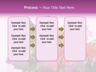 Cosmos Floral Beautiful PowerPoint Template