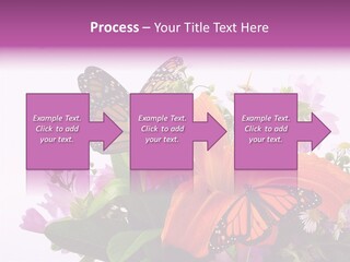 Cosmos Floral Beautiful PowerPoint Template