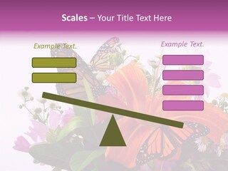 Cosmos Floral Beautiful PowerPoint Template