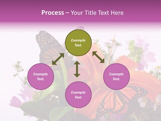 Cosmos Floral Beautiful PowerPoint Template