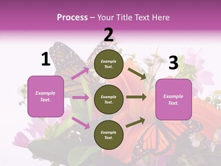 Cosmos Floral Beautiful PowerPoint Template