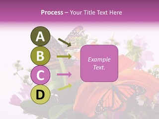 Cosmos Floral Beautiful PowerPoint Template