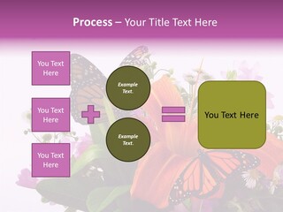 Cosmos Floral Beautiful PowerPoint Template