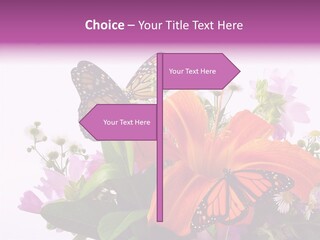 Cosmos Floral Beautiful PowerPoint Template