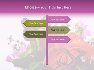 Cosmos Floral Beautiful PowerPoint Template