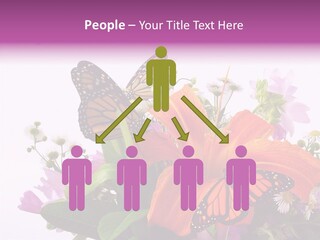 Cosmos Floral Beautiful PowerPoint Template