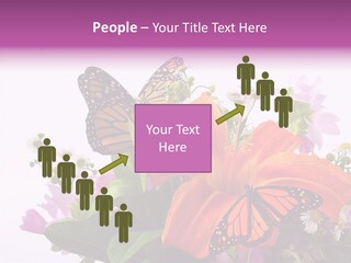 Cosmos Floral Beautiful PowerPoint Template