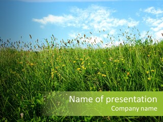 Land Blue Green PowerPoint Template