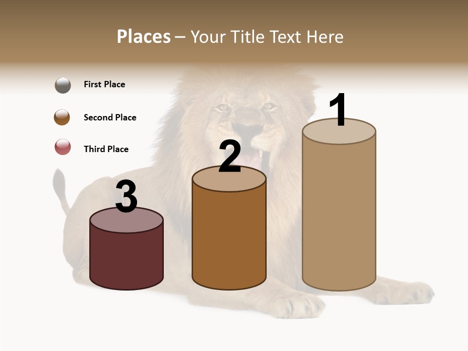 Roaring Yawning Snarling PowerPoint Template