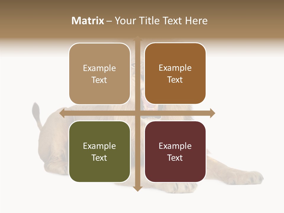 Roaring Yawning Snarling PowerPoint Template