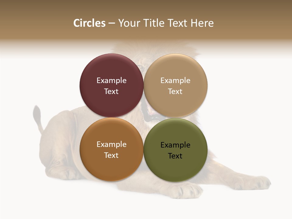 Roaring Yawning Snarling PowerPoint Template