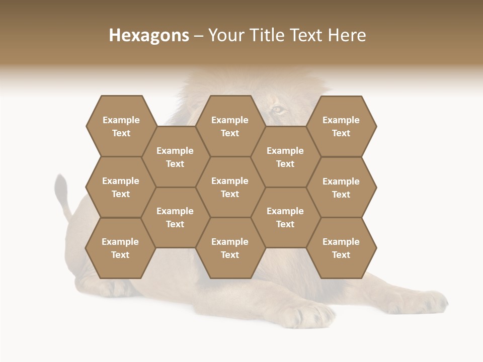 Roaring Yawning Snarling PowerPoint Template