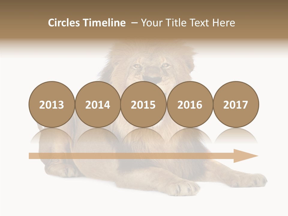 Roaring Yawning Snarling PowerPoint Template