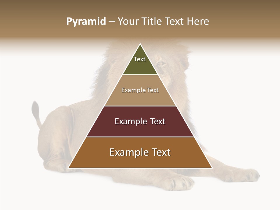 Roaring Yawning Snarling PowerPoint Template