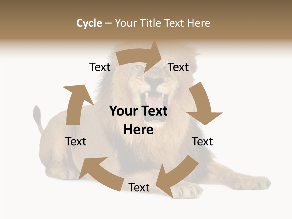 Roaring Yawning Snarling PowerPoint Template