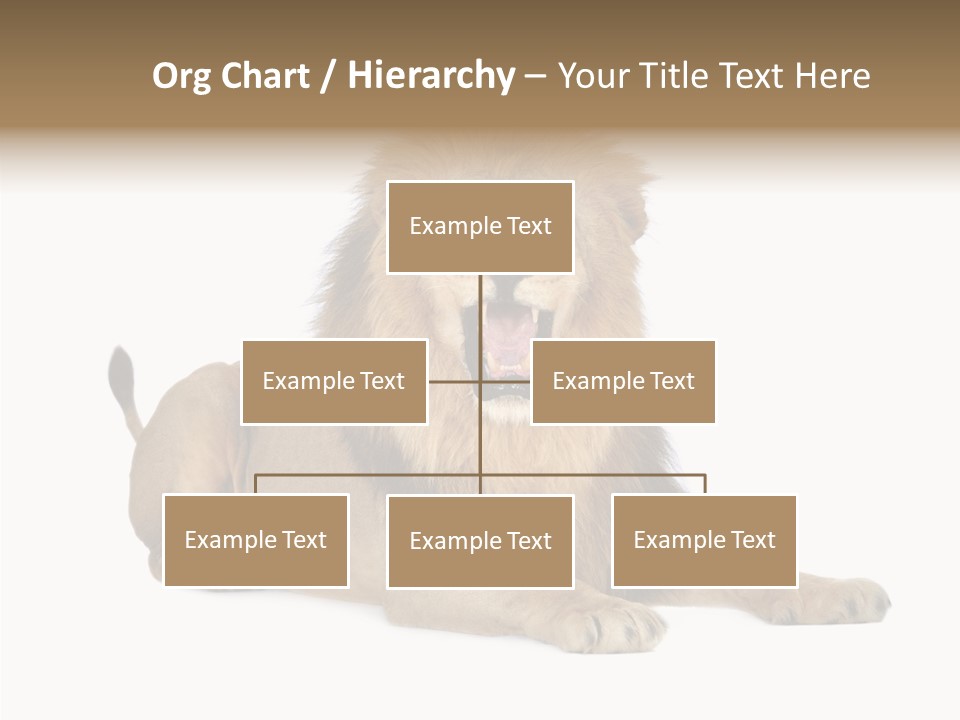 Roaring Yawning Snarling PowerPoint Template