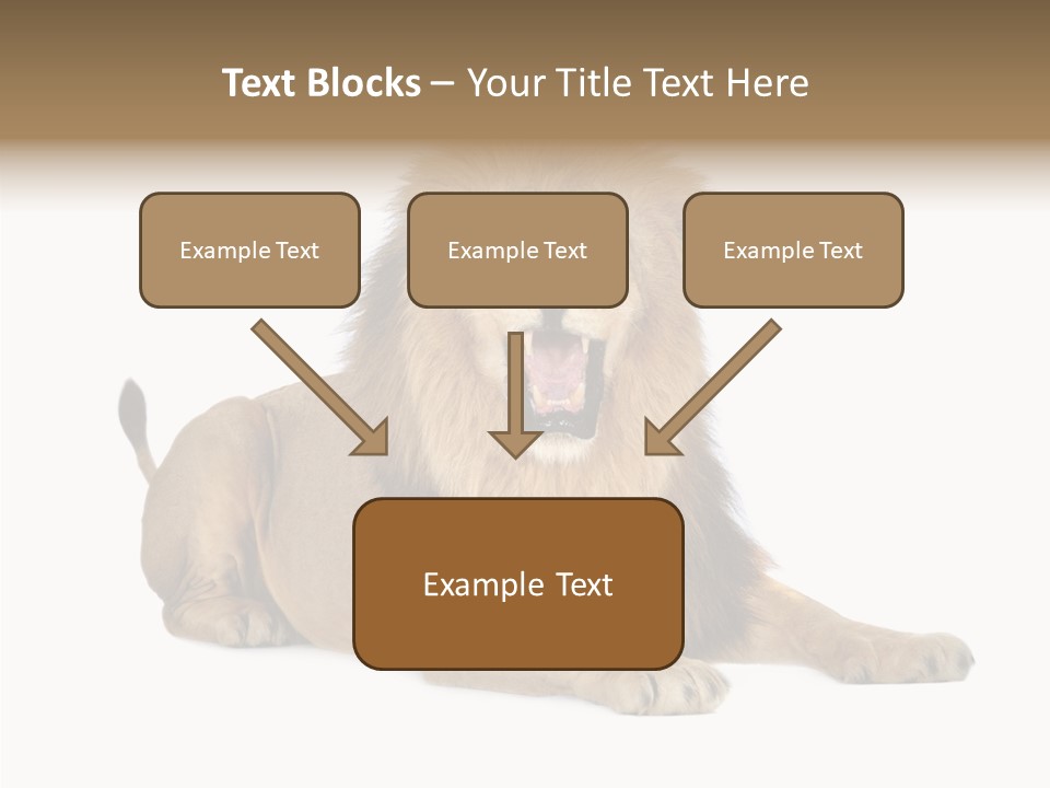 Roaring Yawning Snarling PowerPoint Template