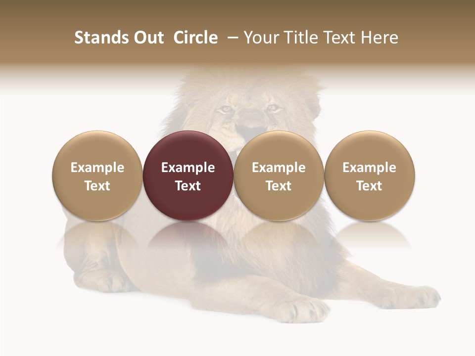 Roaring Yawning Snarling PowerPoint Template