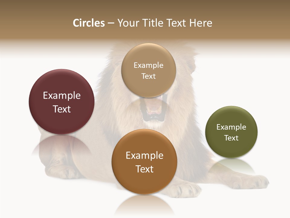 Roaring Yawning Snarling PowerPoint Template