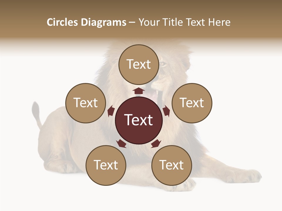 Roaring Yawning Snarling PowerPoint Template