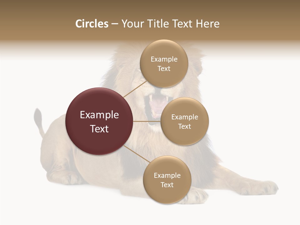 Roaring Yawning Snarling PowerPoint Template