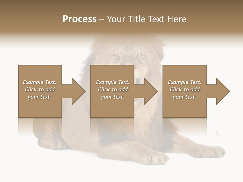Roaring Yawning Snarling PowerPoint Template