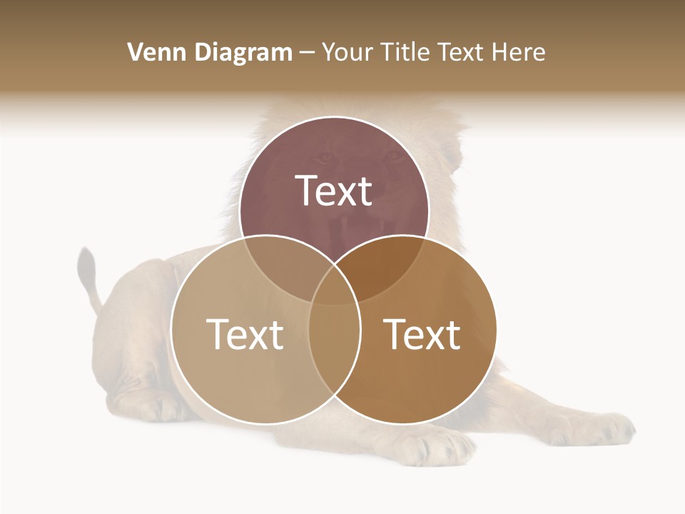 Roaring Yawning Snarling PowerPoint Template